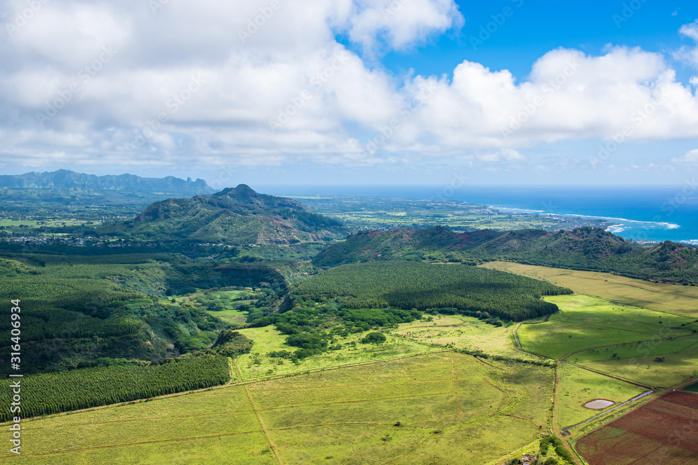 Aerial view of Kauai's lush colorful interior landscape.  The east coast can be seen in background.