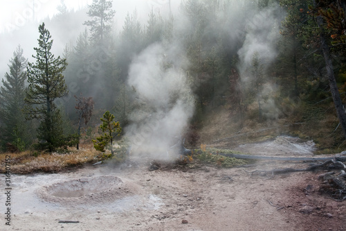 Steam vent in Yellowstone National Park