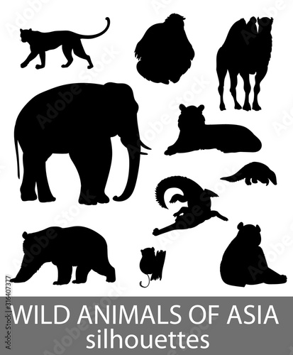 Set of wild asian animals silhouettes. Educational zoology illustration, activity book picture.