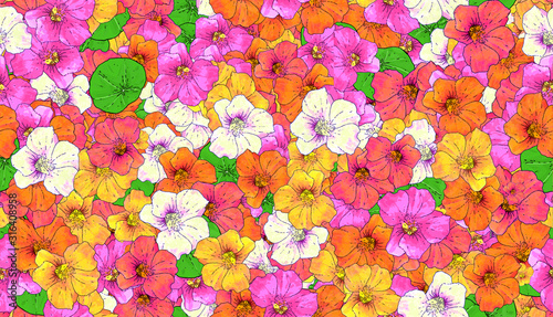 seamless nasturtium floral background