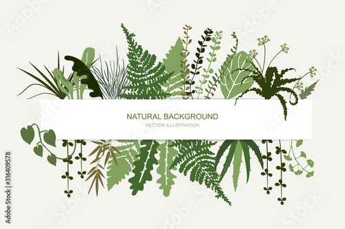 Horizontal floral frame. Tropical foliage and branches. Template for banner, card, poster, greetings, header. Vector flat illustration.