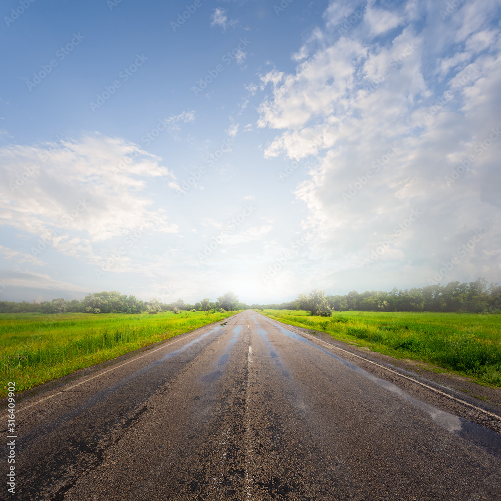 wet asphalt road after a rain in a light of sun