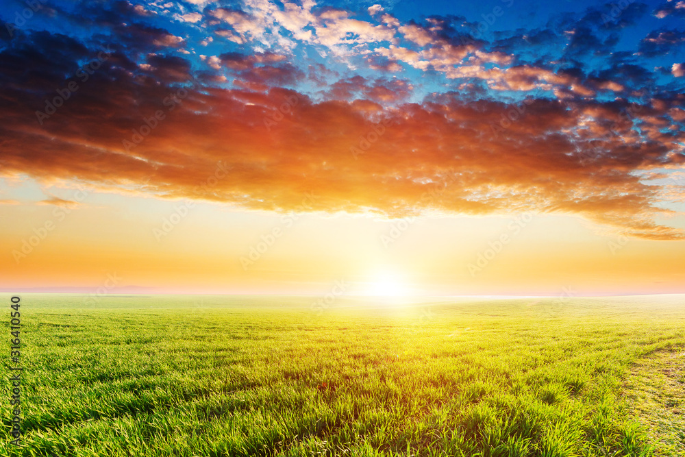 Green Field and Beautiful Sunset