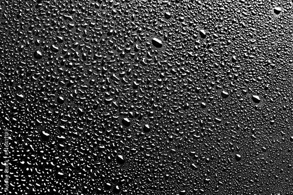 drops of water macro on a black background drops of water macro on a black background
