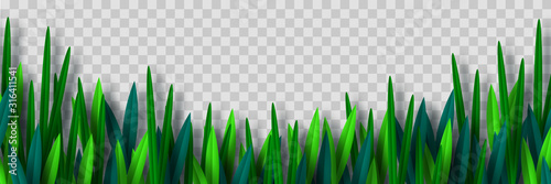 Vector green grass border isolated on transparent background. Paper cut style. Spring or summer plant leaves.