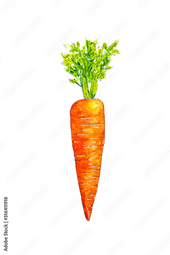 Looking For Carrots - Doodlewash®