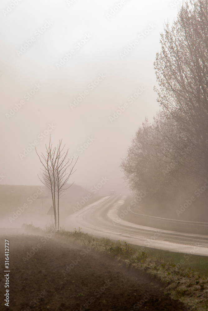 Obraz premium France. Picardie. Somme. Route de campagne dans la brume. Country road in the mist
