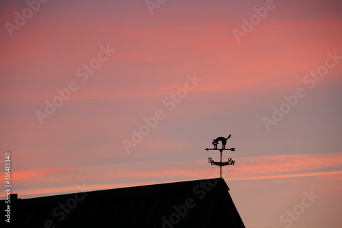 Weather vane in the shape of a black cat on the roof of a building against a sunset a