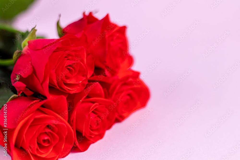 Mother's Day, Women's Day, Valentine's Day or Birthday on a pink background. Roses and box packaging. Congratulatory banner, card. Mother's Day, Women's Day, Valentine's Day or Birthday on a pink background. Roses and box packaging. Congratulatory banner, card.