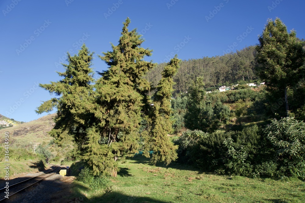 Forest railway with green trees ,tea garden, blue sky, view point , Landscape, mountain, hill village, long view of the mountain , outdoor and beauty of the nature Forest railway with green trees ,tea garden, blue sky, view point , Landscape, mountain, hill village, long view of the mountain , outdoor and beauty of the nature