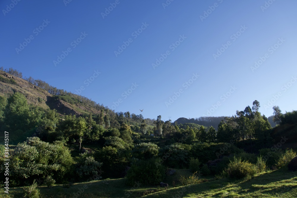 Forest railway with green trees ,tea garden, blue sky, view point , Landscape, mountain, hill village, long view of the mountain , outdoor and beauty of the nature 