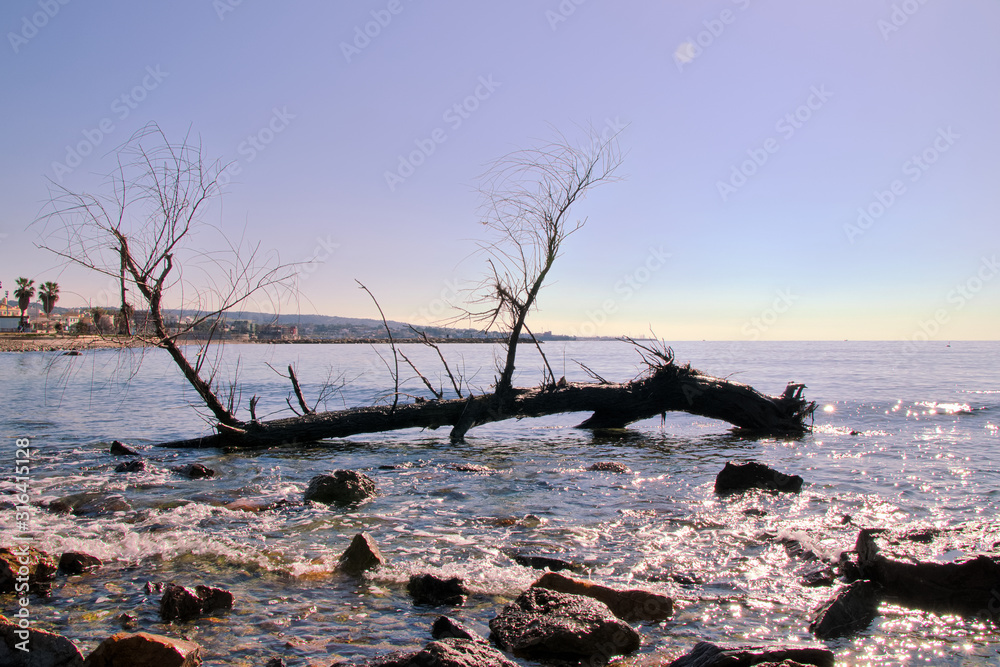 View of the ocean in Lazio - Italy with stones and an old tree trunk in the foreground