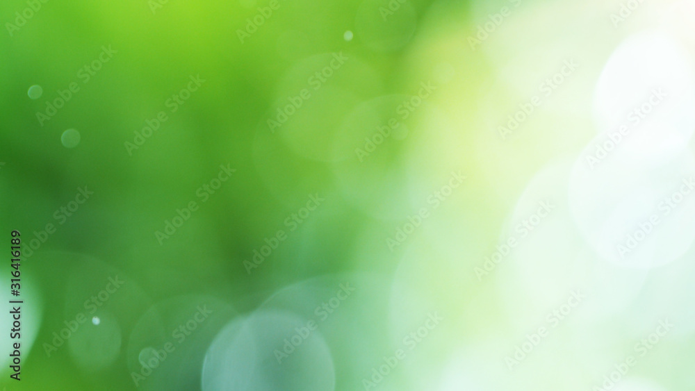 Fototapeta premium Blur water drops on abstract green background.