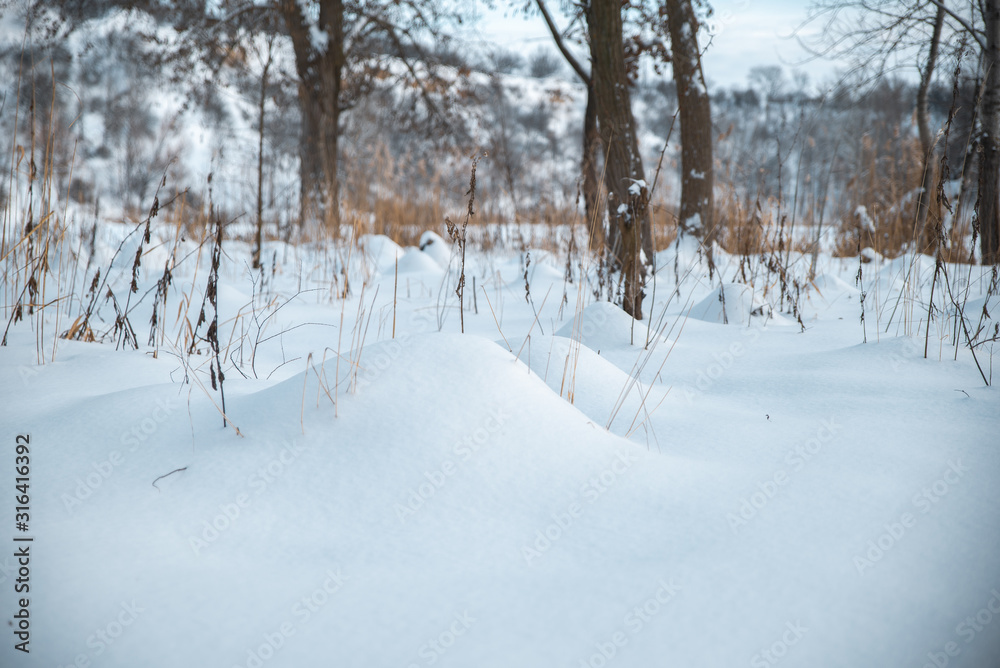 Winter park in the snow in the evening