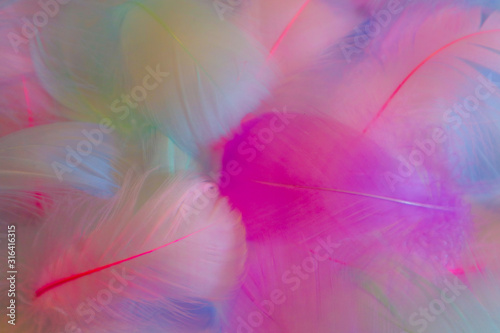 Beautiful abstract orange purple and blue feathers on white background and soft white pink feather texture on colorful pattern  colorful background  colorful feather