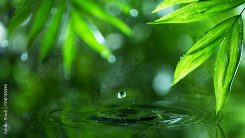 Fototapeta Naklejka Na Ścianę i Meble -  Dropping water with palm leaf