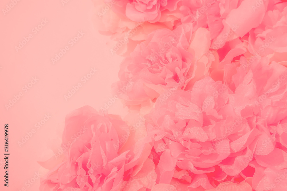 Fototapeta premium Piękny abstrakcyjny kolor białe i różowe kwiaty na białym tle i biała ramka kwiatowa i pomarańczowe liście tekstury tła, baner kwiaty, różowe tło, kolorowy różowy transparent szczęśliwy walentynki