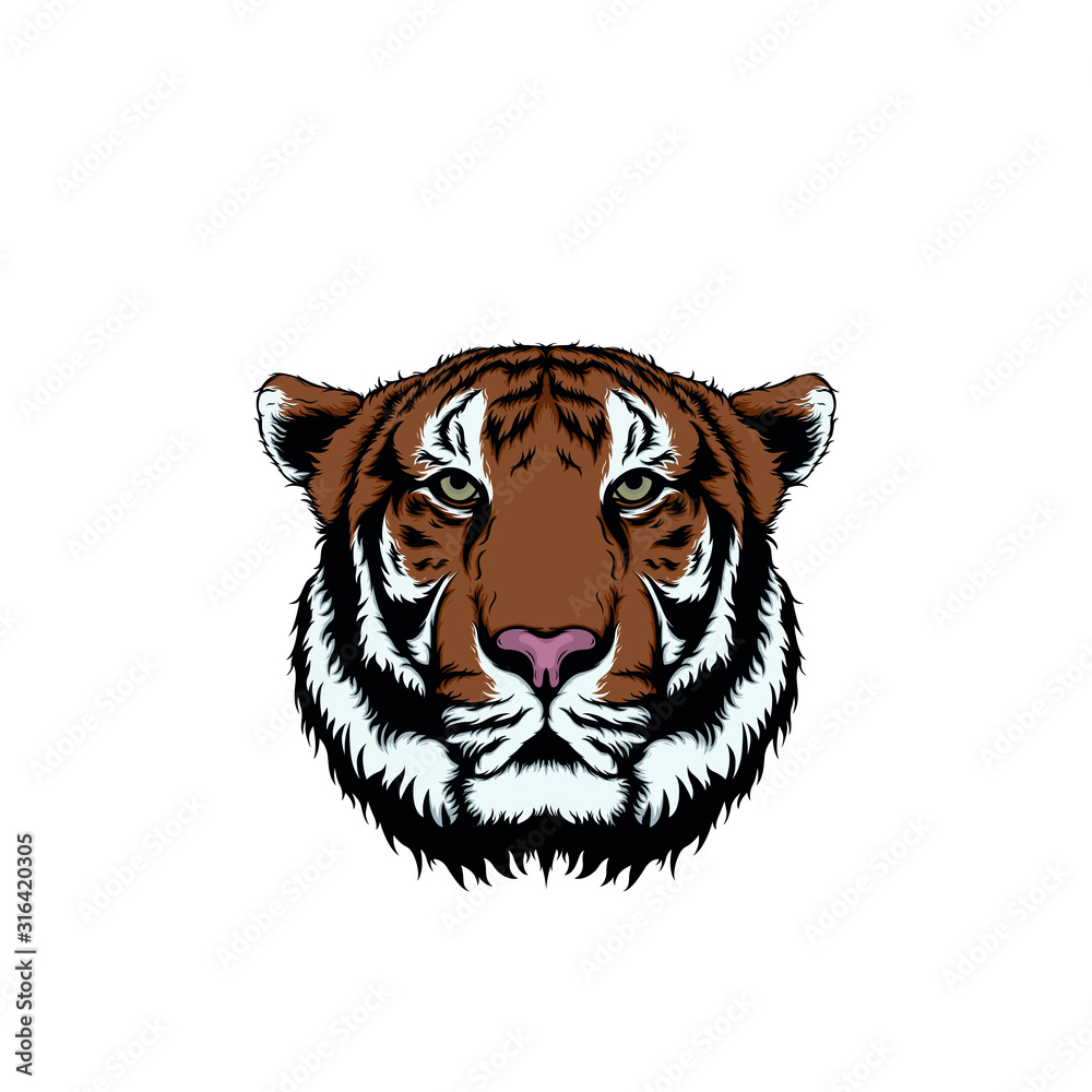 tiger face illustration isolated on white background