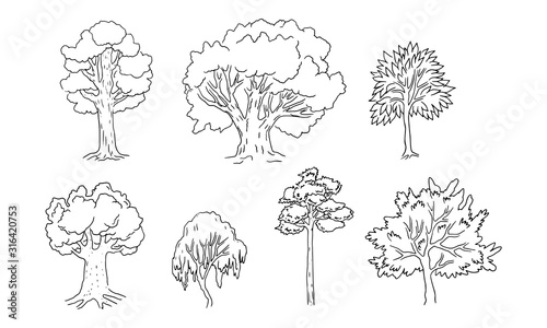 Set of different trees. Sketch style, black contours . Vector illustration