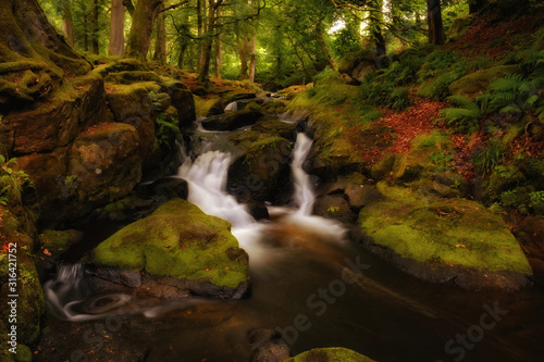 Mysterious nature of Clogleagh creeks and valley  Wicklow mountains  Ireland