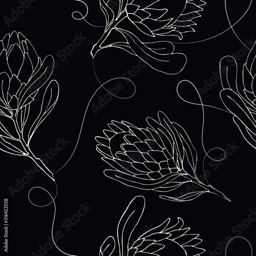 Vector illustration seamless pattern with large buds of a protea flower drawing outline. Textiles, wallpaper, fabric, decoration bedroom and living room photo