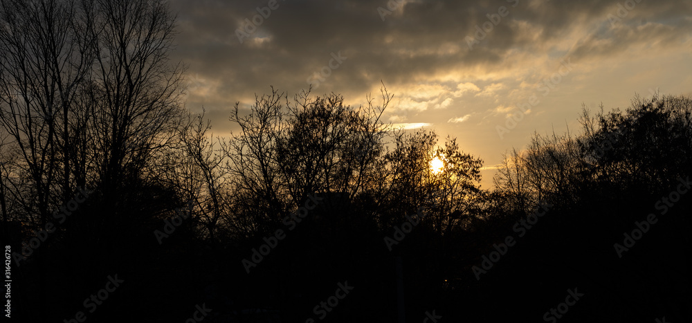 Landscape, the sun shines through the clouds on a background of trees