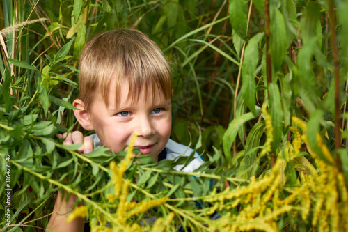 A little boy 5-6 years old peeks out from the green grass in the summer. Rest, summer corruption for the child.