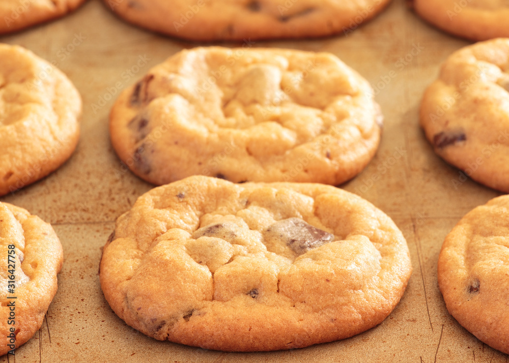 Chocolate chip cookies closeup on baking sheet