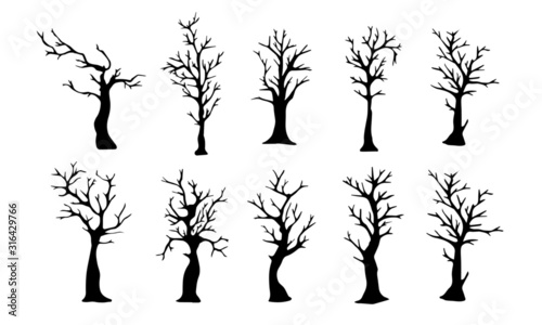 Spooky, Spindly Tree Silhouette Collection
