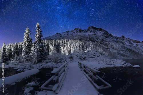 Winter starry night in the mountains.