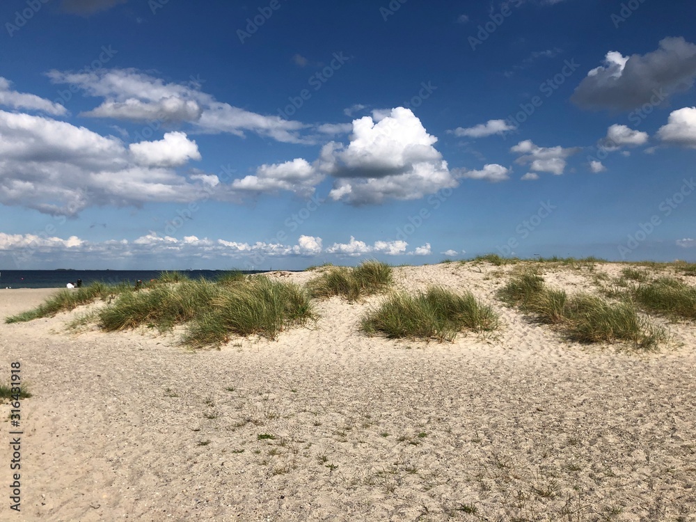 Dünenlandschaft Dünenlandschaft