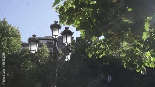 Arboles en plaza de ciudad con hojas en movimiento entre rayos de sol HD photo