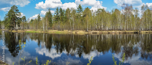 Fototapeta Naklejka Na Ścianę i Meble -  Meshchersky national Park in may.