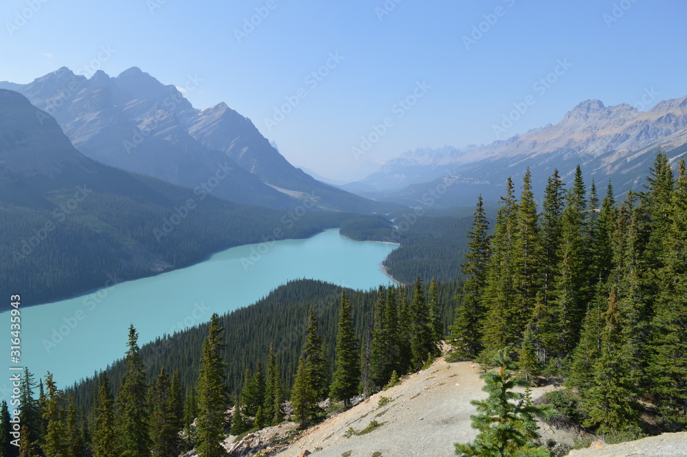 Sky Blue Beautiful Glacier Peyto Lake, Banff, Canadian Rocky Mountains. View from Bow Summit. Alberta, Canada
