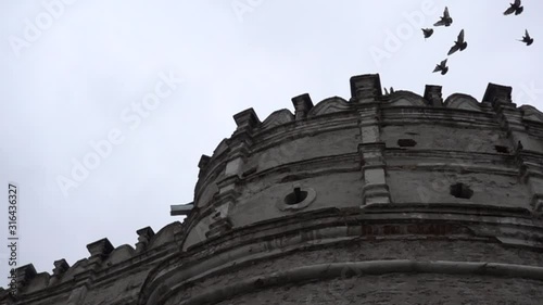 Flock Of Birds Flying Over The Old Tower