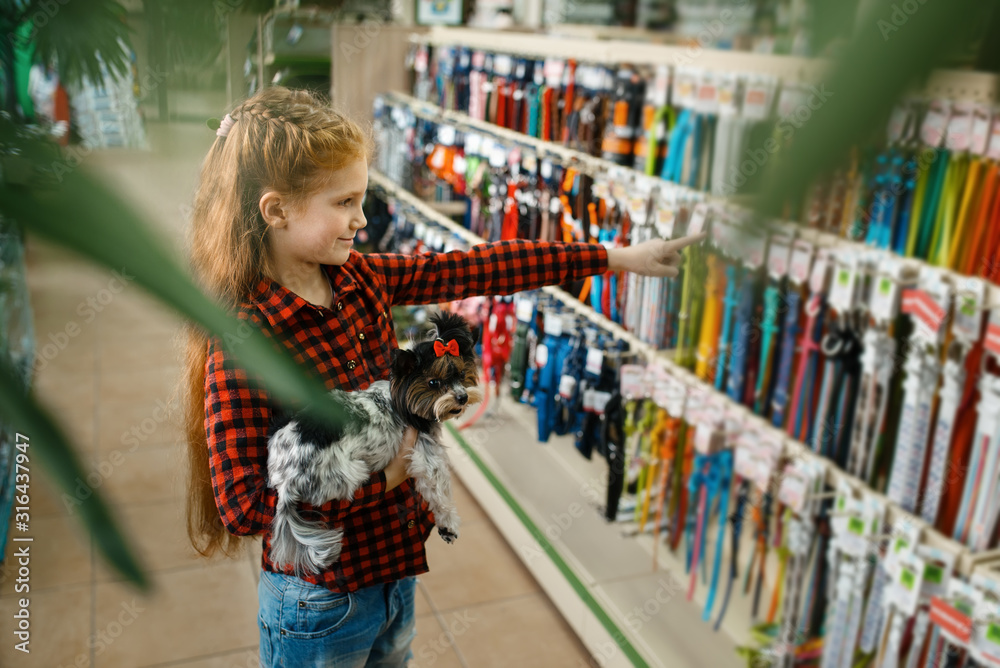 Little girl choosing leash and collar, pet store