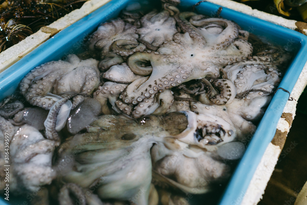 Octopus selling in the fish market in Kedonganan - Passer Ikan, Jimbaran beach Bali Octopus selling in the fish market in Kedonganan - Passer Ikan, Jimbaran beach Bali