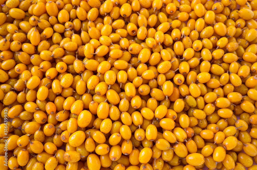 ea-buckthorn background. Ripe and fragrant sea-buckthorn. Fresh yellow berry with leaves. Fresh berry background. Texture buckthorn berries close up. Top view. ea-buckthorn background. Ripe and fragrant sea-buckthorn. Fresh yellow berry with leaves. Fresh berry background. Texture buckthorn berries close up. Top view.