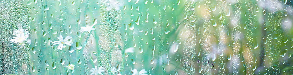 summer rain wet glass / abstract background landscape on a rainy day outside the window blurred background - obrazy, fototapety, plakaty 