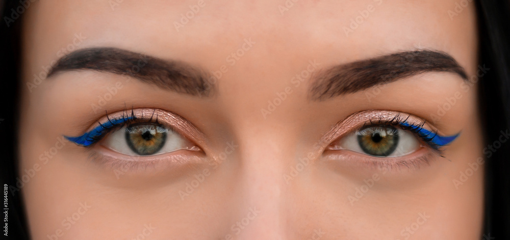 Fototapeta premium Perfect green eye with makeup. Phantom blue