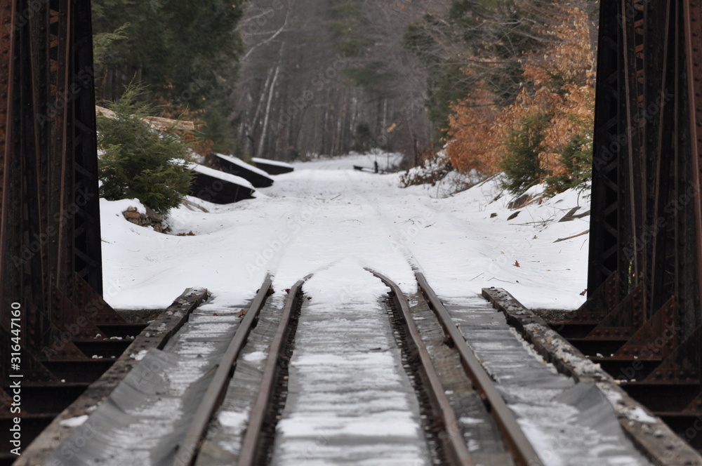 Fototapeta premium TrainTracks