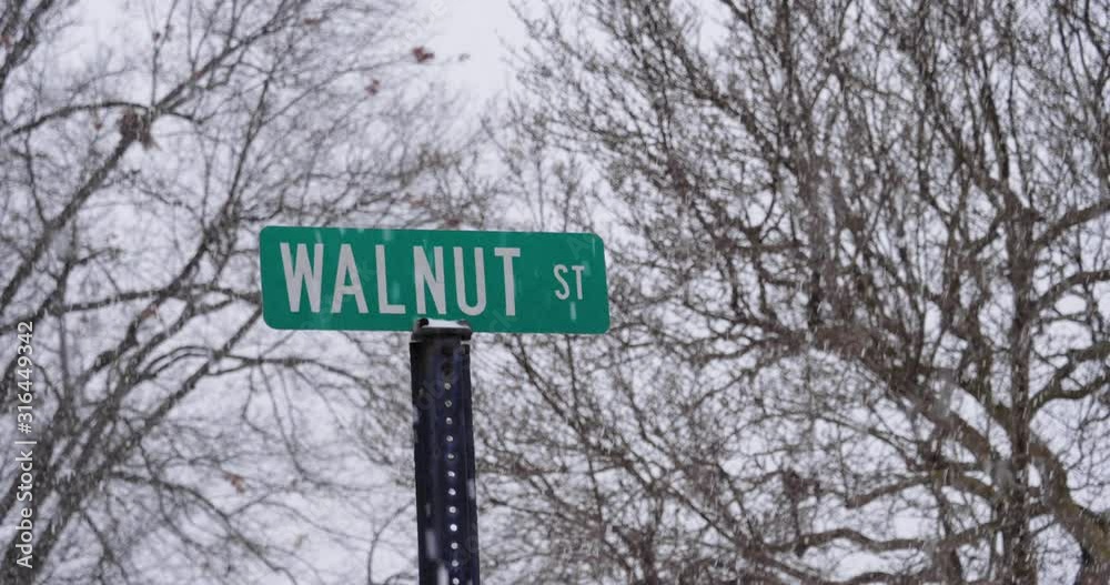 A closeup view of a green Walnut Street sign in a snowstorm. Pittsburgh suburbs. A closeup view of a green Walnut Street sign in a snowstorm. Pittsburgh suburbs.