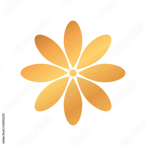 cute golden flower natural isolated icon vector illustration design