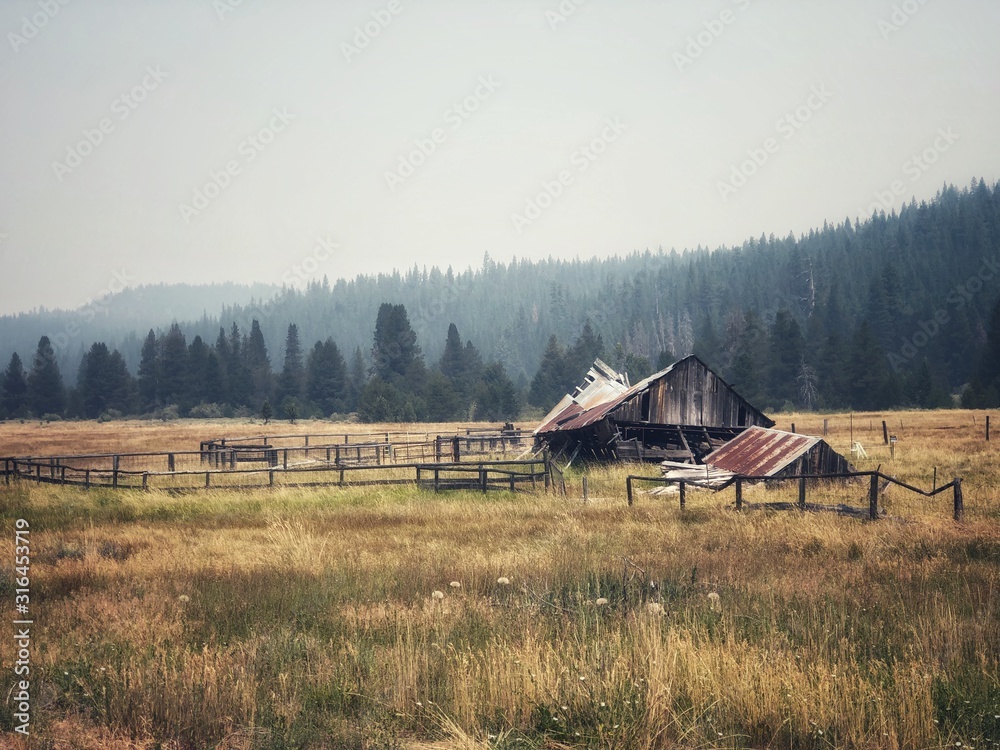 Old barn falling down in a meadow