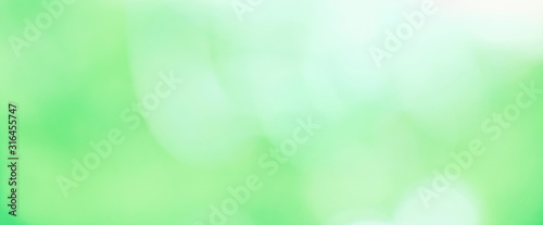 Beautiful Nature blurred Green White spring Background