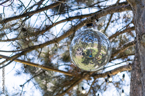 Disco ball on a tree on a sunny day