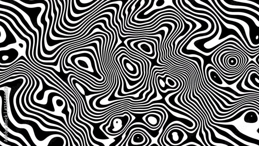 Abstract Black and White lines in dynamic wave motion. shape pattern motion graphics background 4k. Seamless Loop. Abstract Black and White lines in dynamic wave motion. shape pattern motion graphics background 4k. Seamless Loop.
