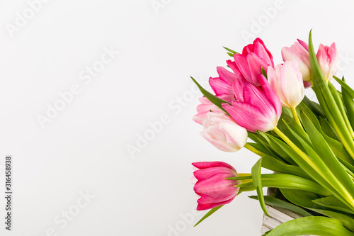 Fototapeta Naklejka Na Ścianę i Meble -  Fresh spring tulips on white