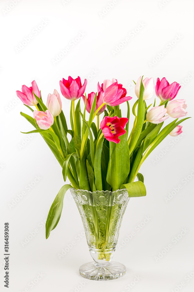 Tulips in glass vase