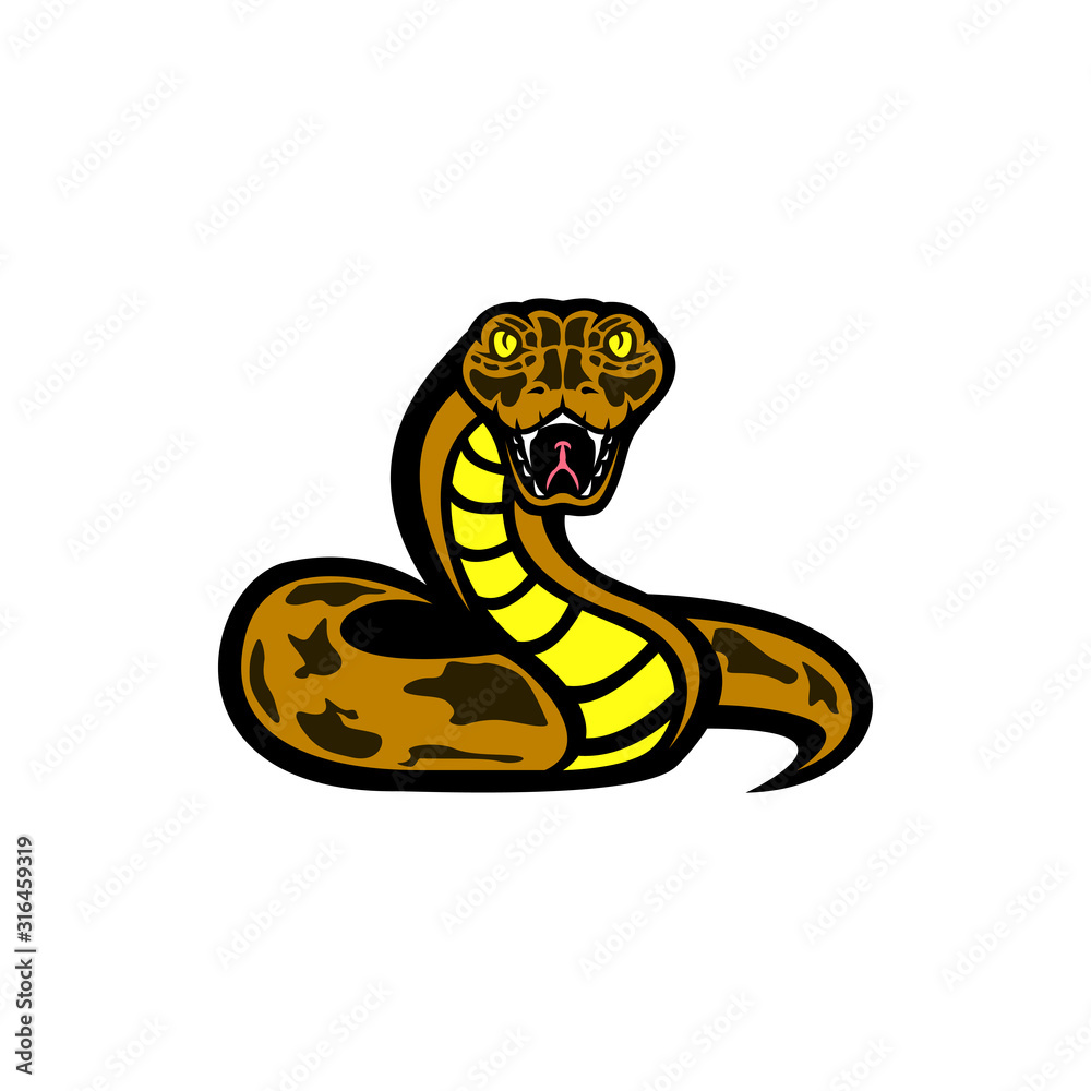 Fototapeta premium snake vector illustration